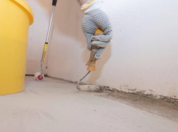 Best Pest Exclusion Services  in Barbourmeade, KY